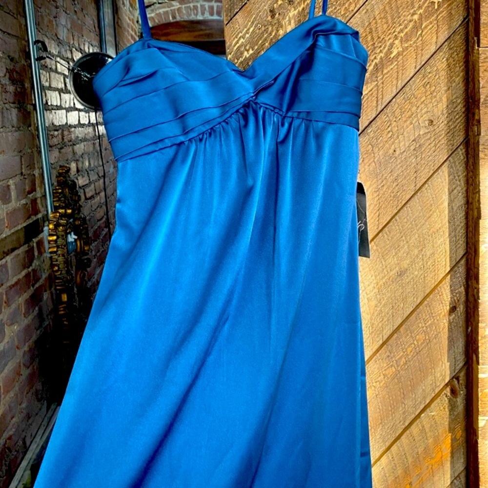 Never Worn Elegant Dress